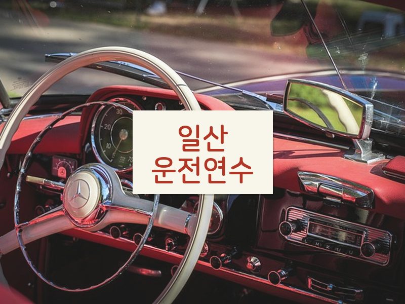 일산운전연수 후기