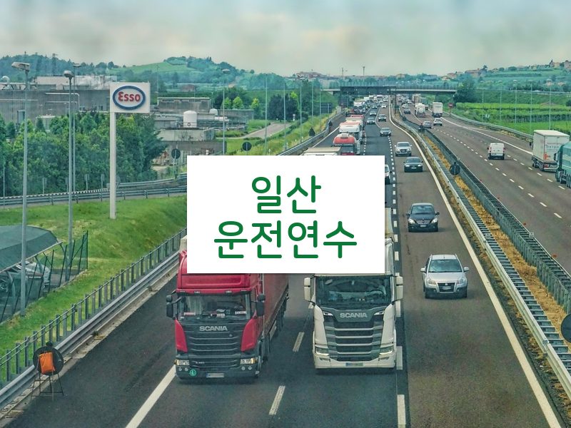 일산운전연수 후기