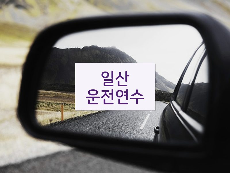 일산운전연수 후기