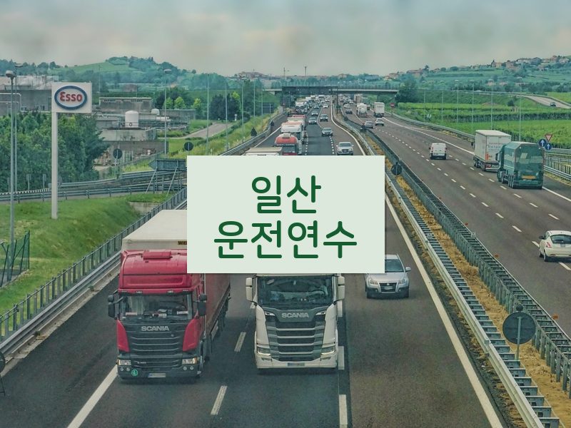 일산운전연수 후기