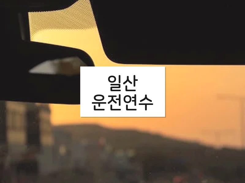 일산운전연수 후기