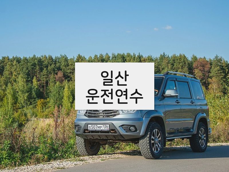 일산운전연수 후기