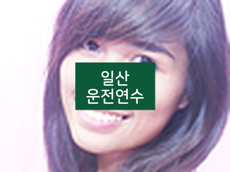 일산운전연수 후기