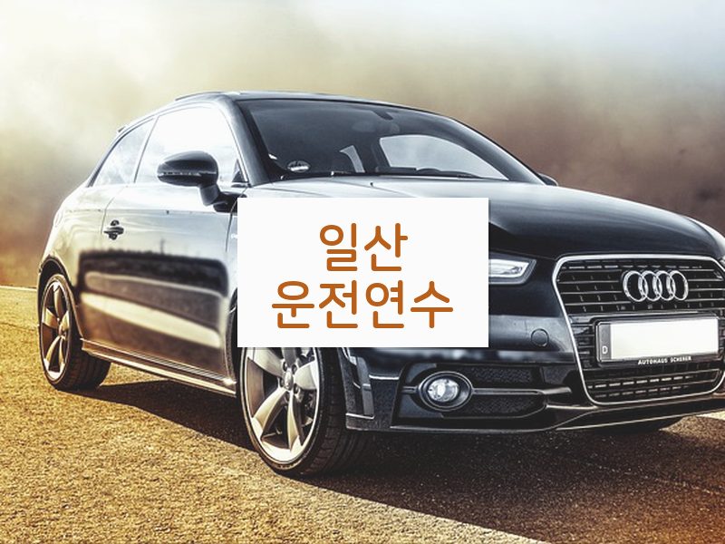 일산운전연수 후기