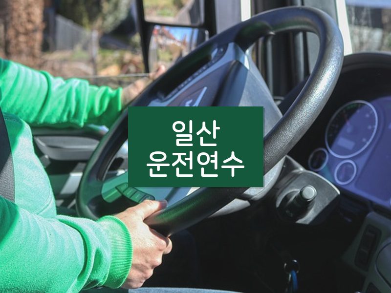 일산운전연수 후기