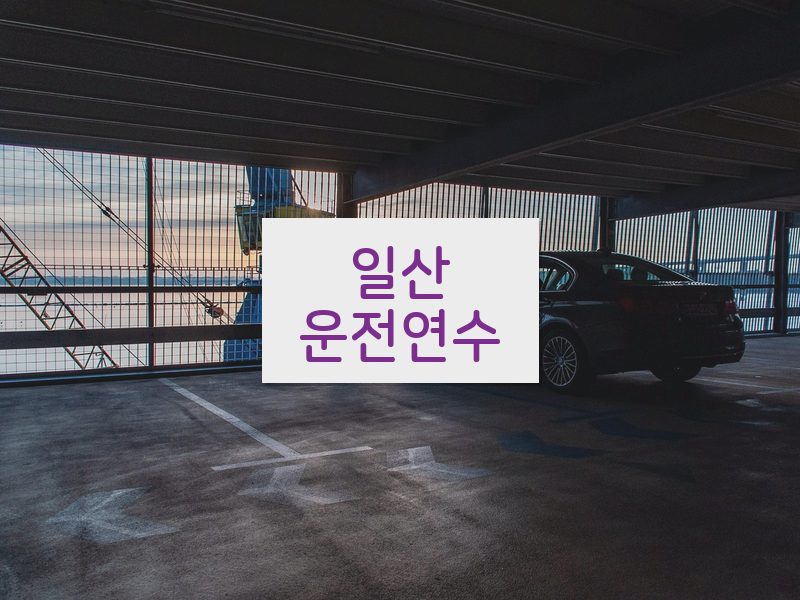 일산운전연수 후기