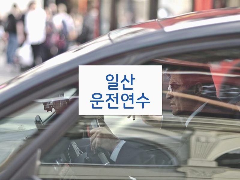 일산운전연수 후기