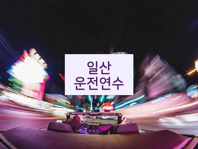 일산운전연수 후기