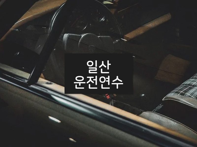 일산운전연수 후기