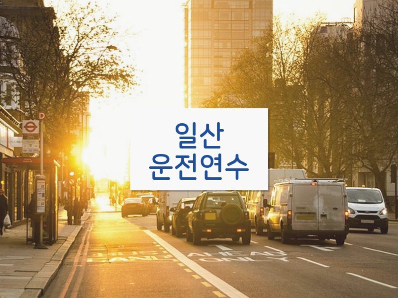 일산운전연수 후기