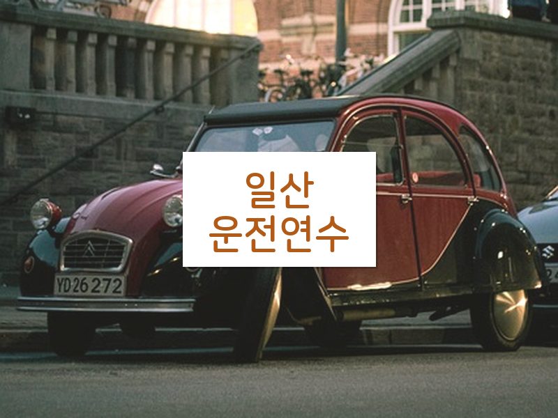 일산운전연수 후기