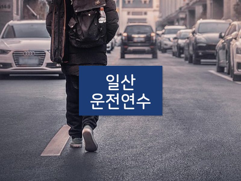 일산운전연수 후기