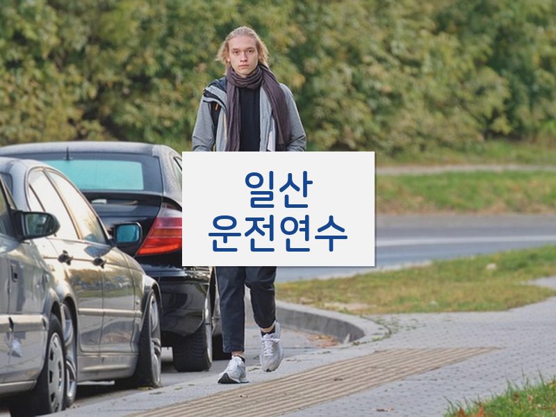 일산운전연수 후기
