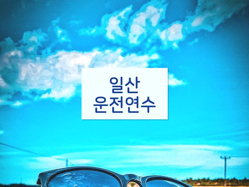 일산운전연수 후기