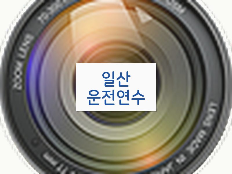일산운전연수 후기