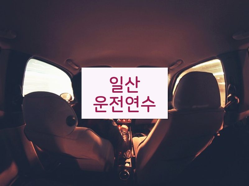 일산운전연수 후기