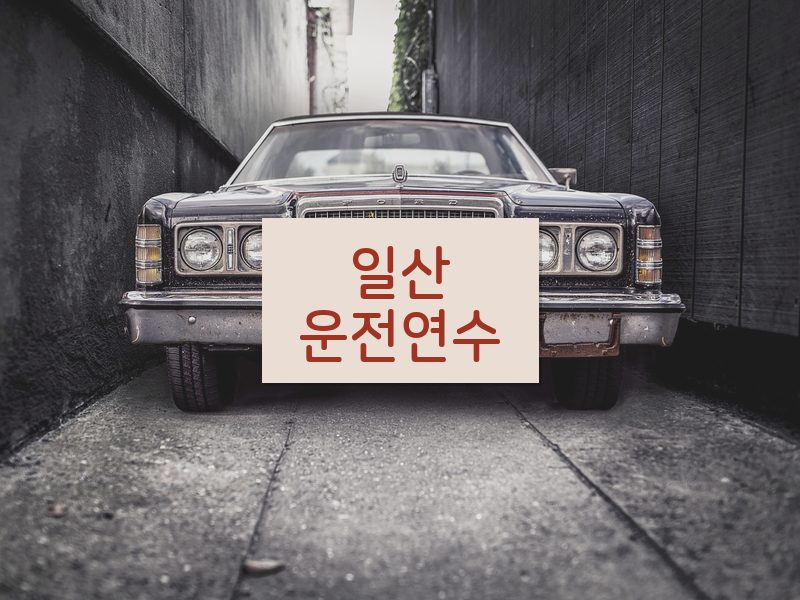 일산운전연수 후기
