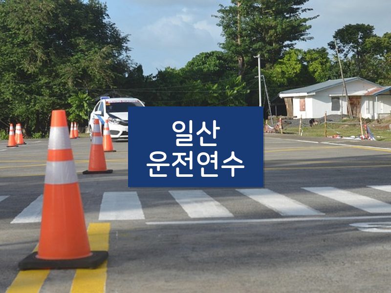 일산운전연수 후기