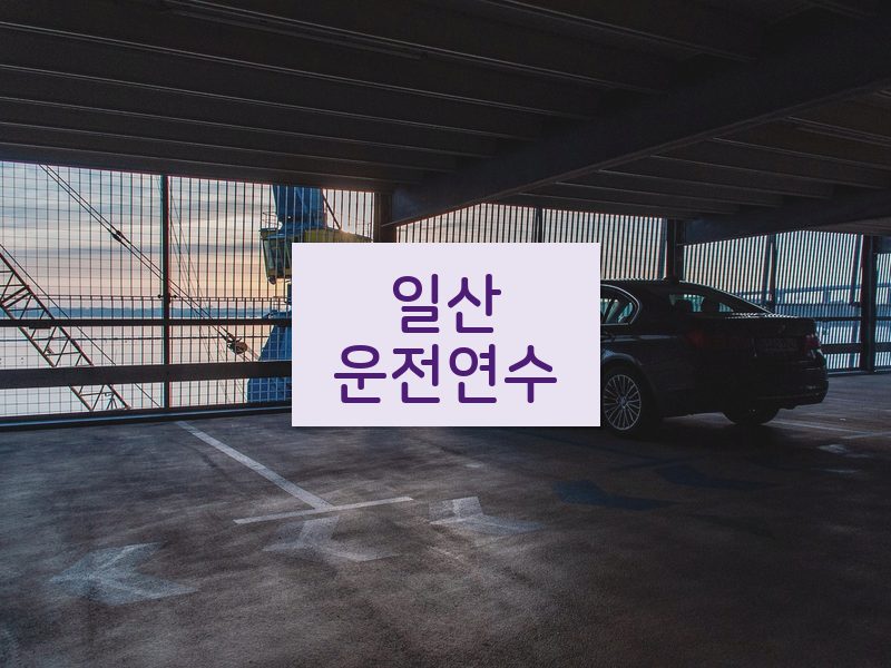 일산운전연수 후기