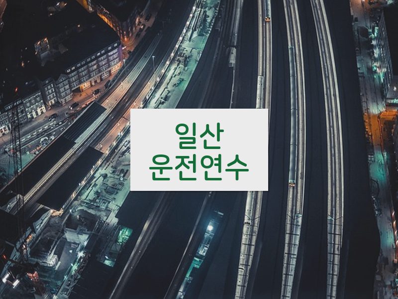 일산운전연수 후기