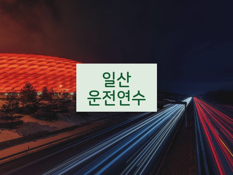 일산운전연수 후기
