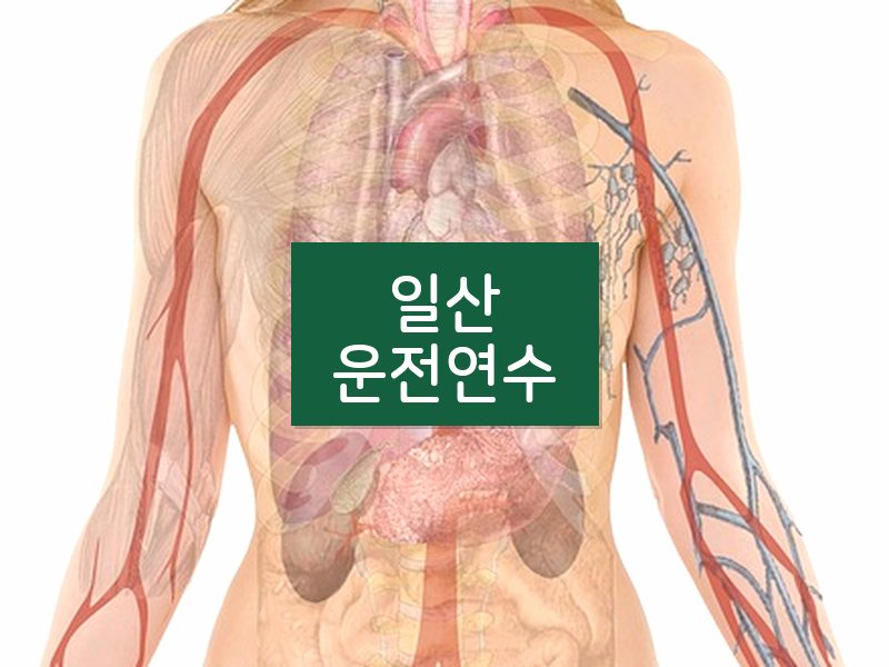 일산운전연수 후기