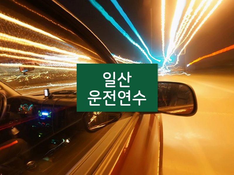 일산운전연수 후기