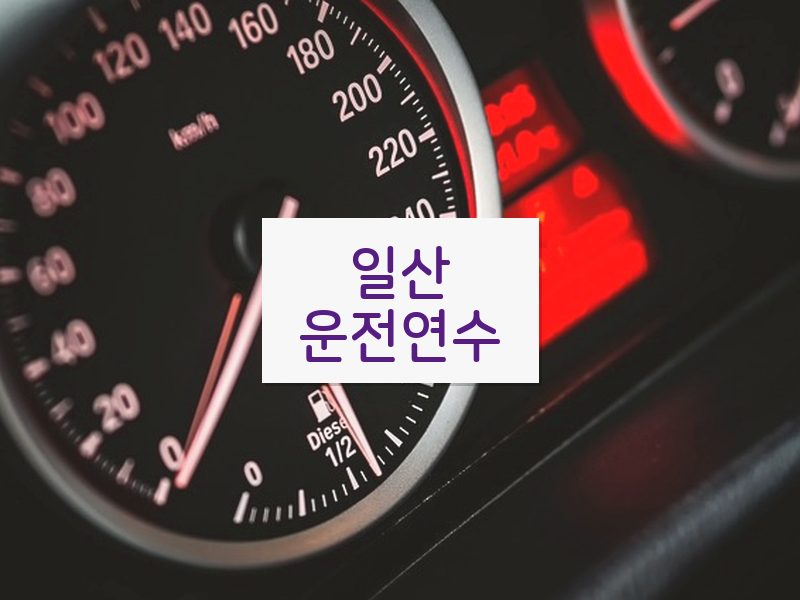 일산운전연수 후기