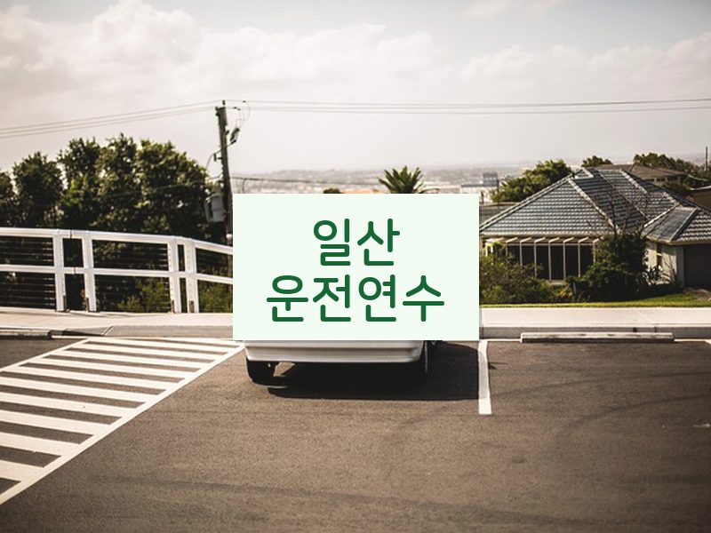 일산운전연수 후기
