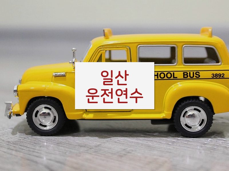 일산운전연수 후기