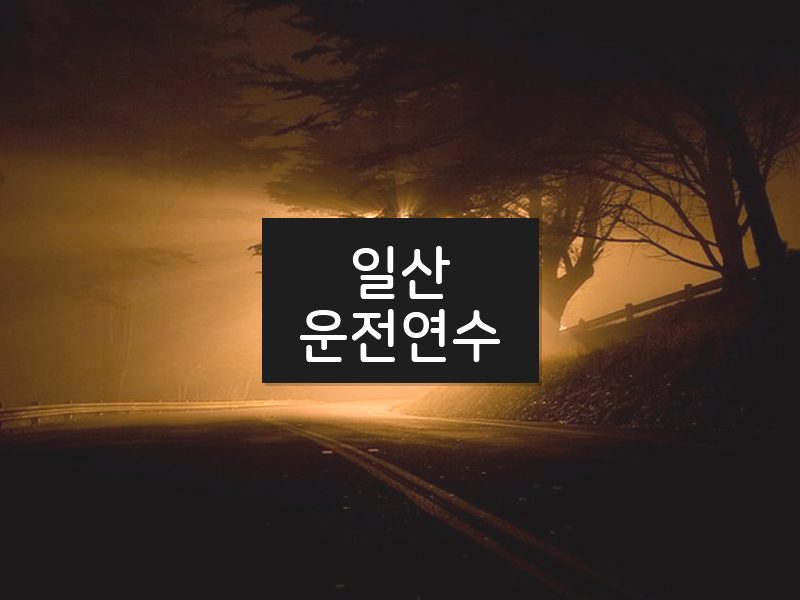 일산운전연수 후기