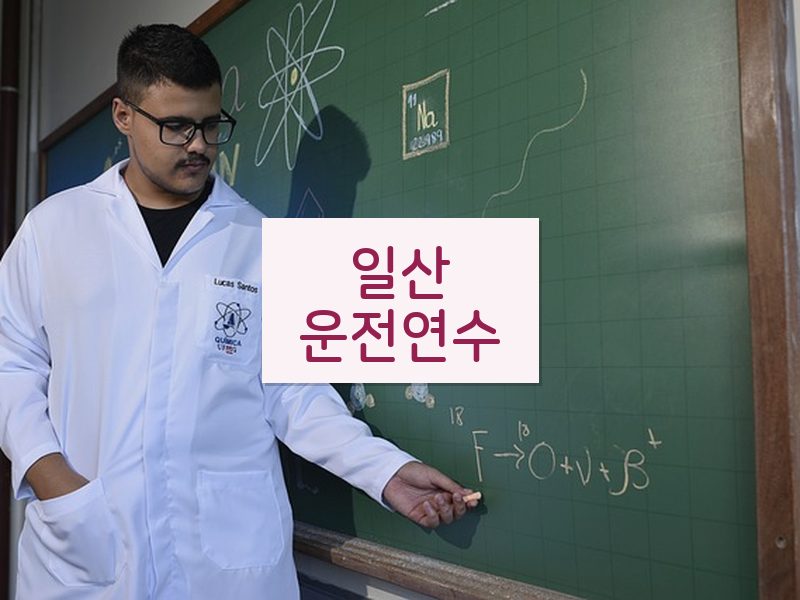 일산운전연수 후기