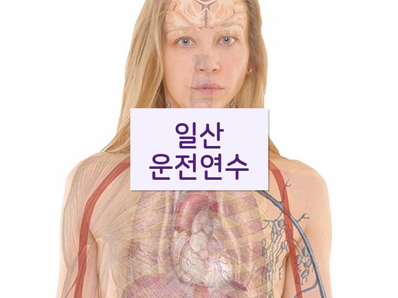 일산운전연수 후기