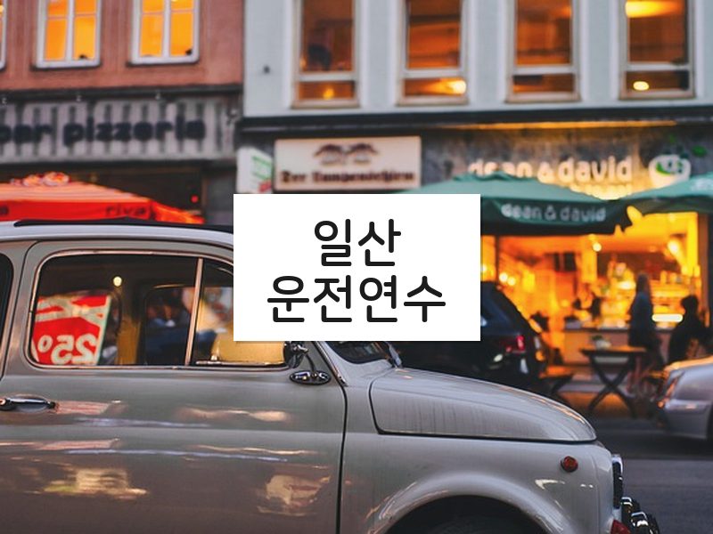 일산운전연수 후기