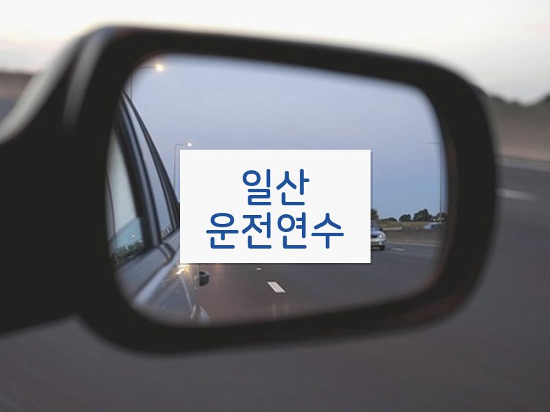 일산운전연수 후기