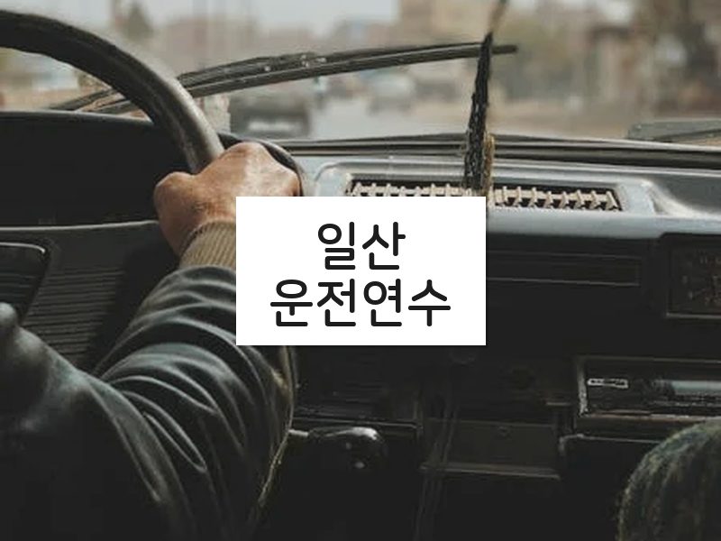 일산운전연수 후기