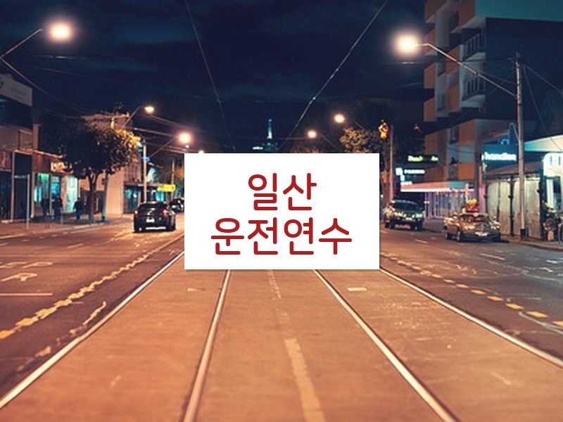 일산운전연수 후기