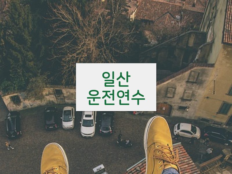 일산운전연수 후기