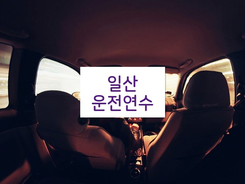 일산운전연수 후기