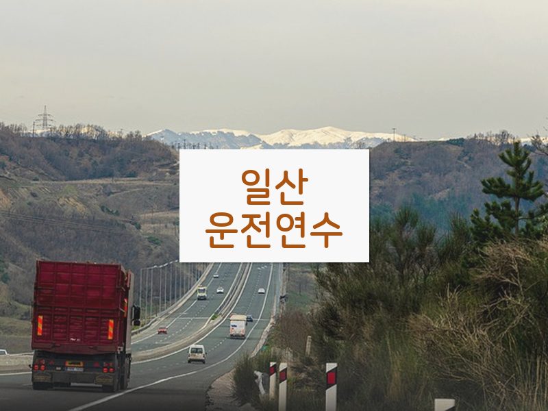 일산운전연수 후기