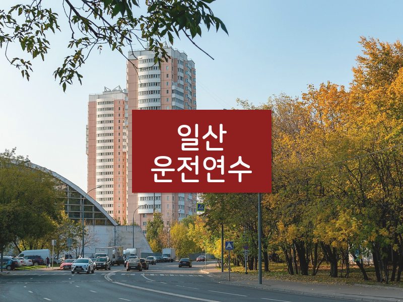 일산운전연수 후기