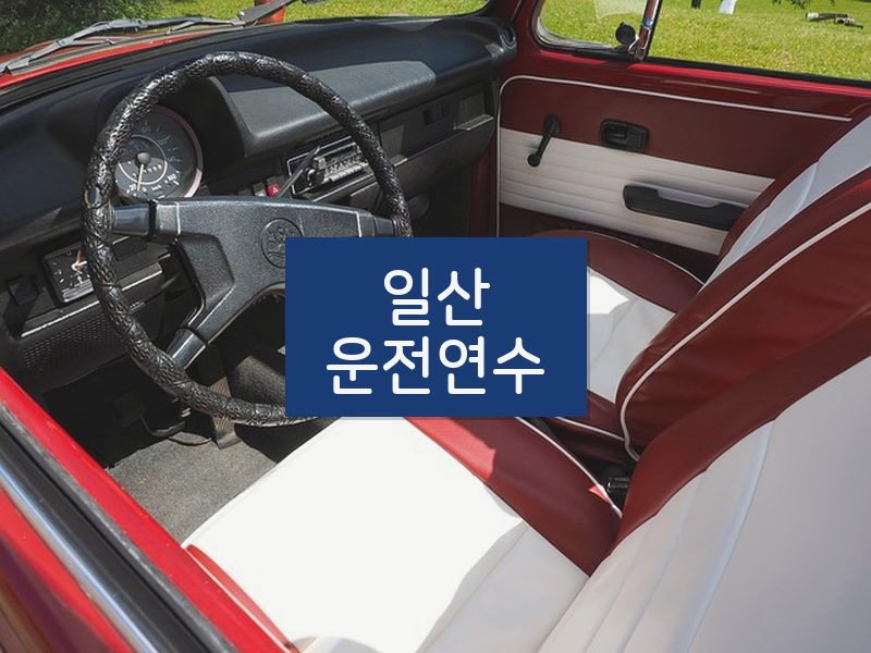 일산운전연수 후기