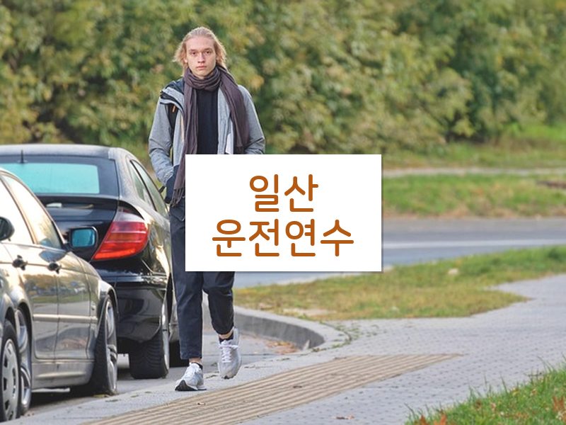 일산운전연수 후기