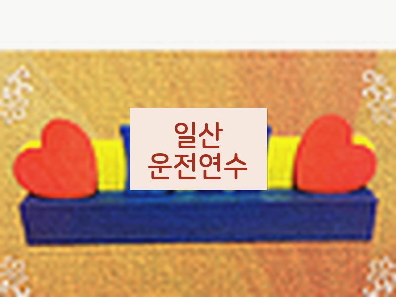 일산운전연수 후기