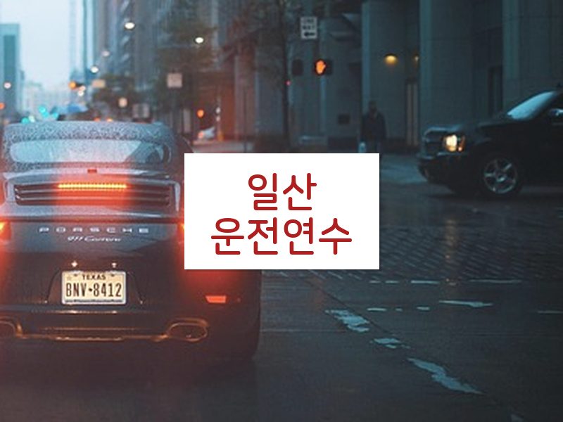 일산운전연수 후기