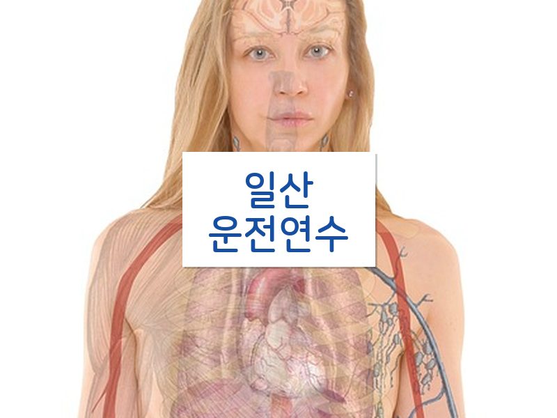일산운전연수 후기