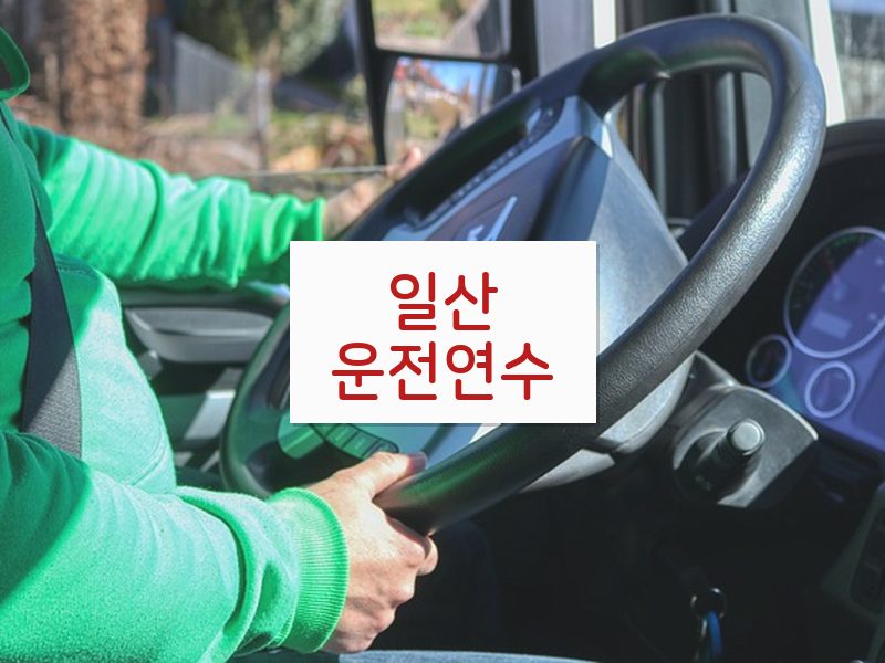 일산운전연수 후기