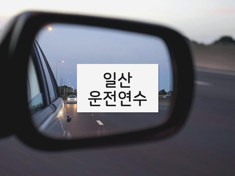 일산운전연수 후기