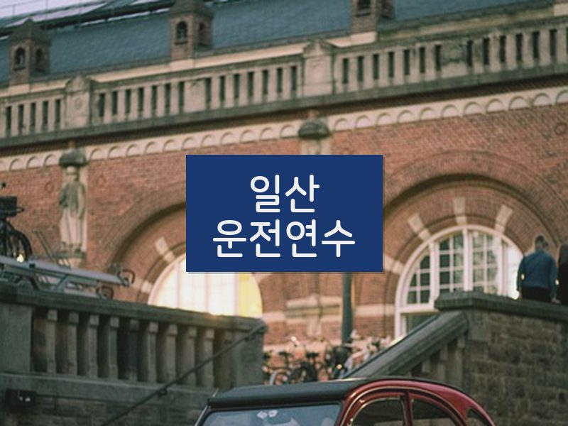 일산운전연수 후기