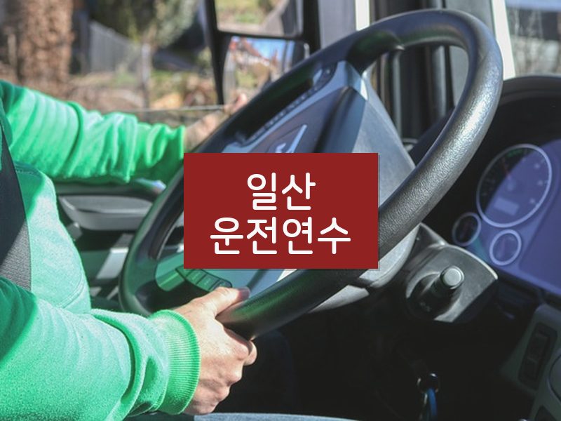 일산운전연수 후기